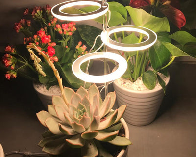 GrowHalo - Angel Three Ring Grow Light For Indoor Plants